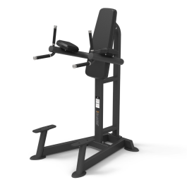 VERTICAL LEG RAISE/DIP